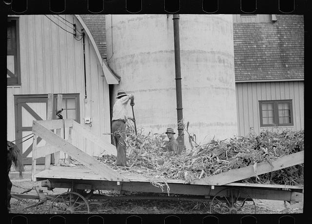 Photo:Dakota County Minnesota Brandtjen Dairy Farm Silo Barn 1939 Workers