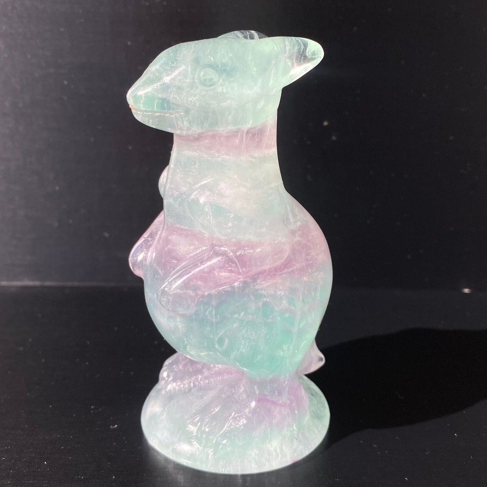 282g Natural Fluorite Carved Kangaroo Reiki Crystal Skull Crystal Decor gift
