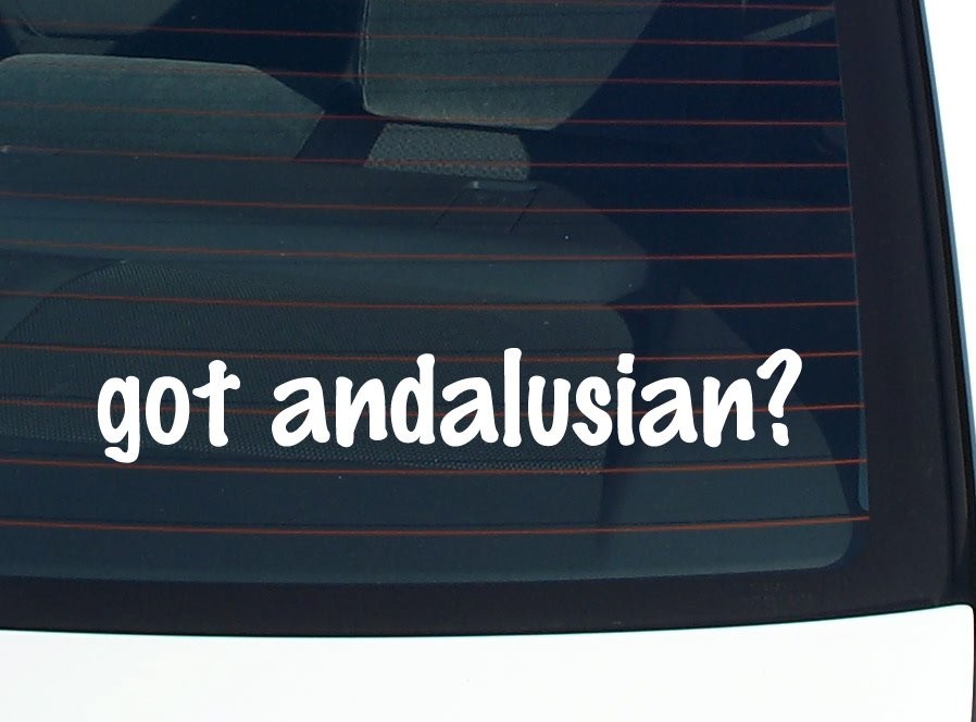 Got Andalusian? Funny Car Decal Bumper Sticker Vinyl Window Joke
