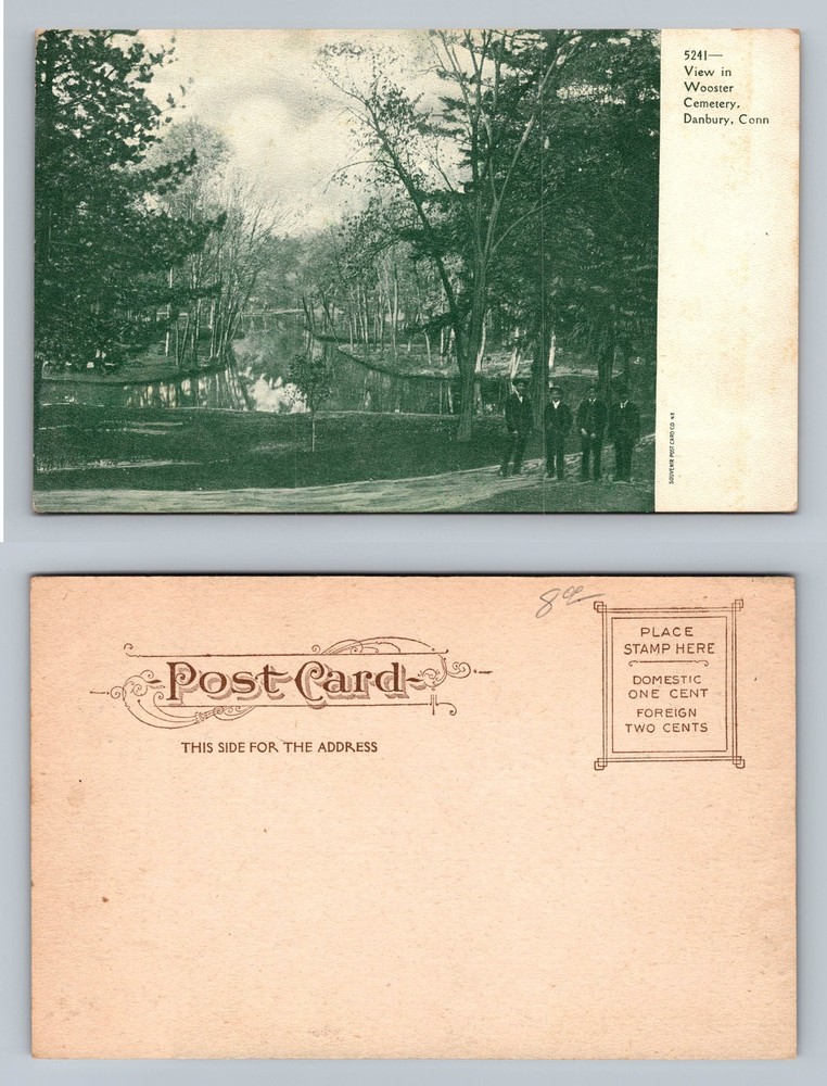 Danbury, CT-Connecticut, Wooster Cemetery Lake View Old Post Vintage Postcard