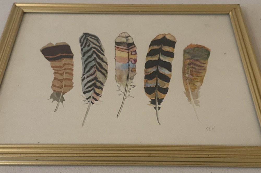 SBM Framed Feather Watercolor Painting Signed Original Still Life Art