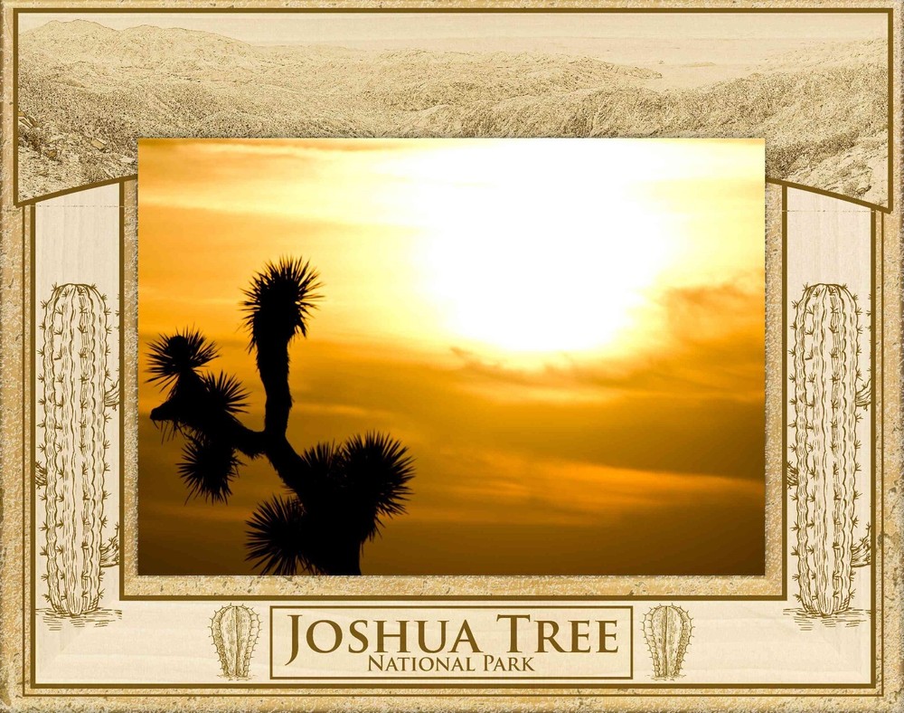 Joshua Tree National Park Laser Engraved Wood Picture Frame Landscape (4 x 6)