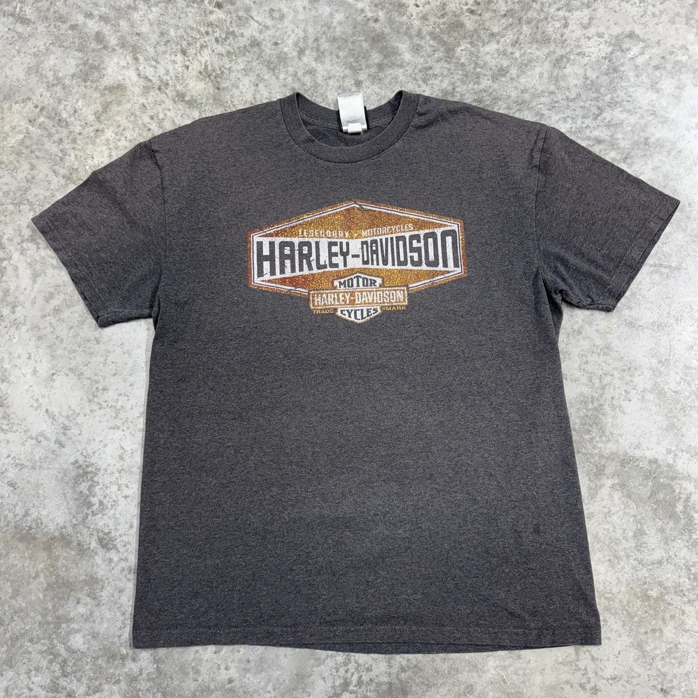 Harley-Davidson Shirt Mens XL Gray Panama City Beach Florida Graphic Biker Tee