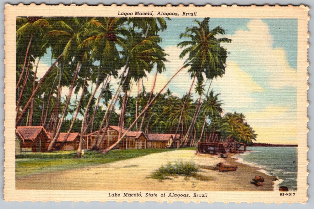 Vtg Linen Postcard Palm Trees Beach Maceio, Alagoas, Brazil 1940s