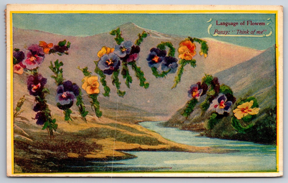 Greetings~Language Of Flowers~Pansy Think Of Me~Mountain~River~1909 Postcard