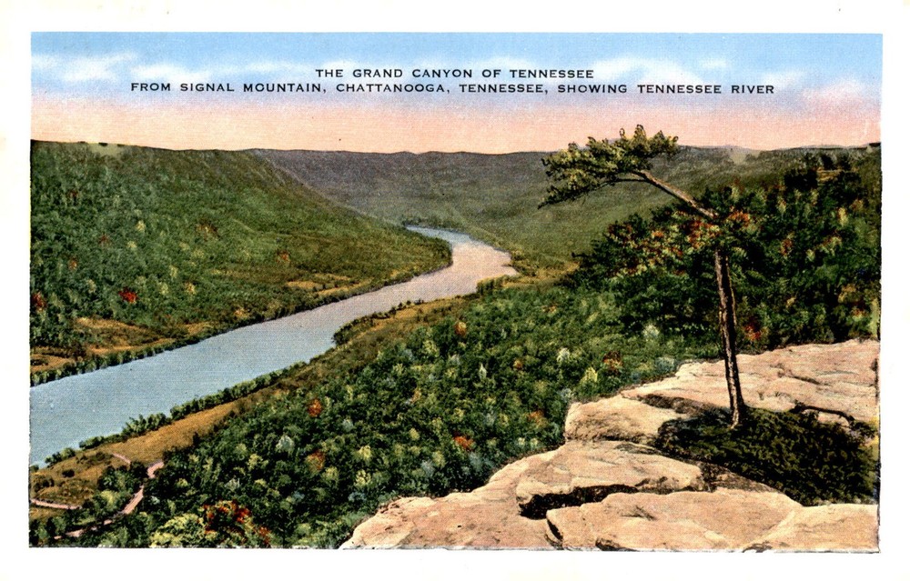 Grand Canyon of Tennessee, Signal Mountain, Chattanooga Postcard