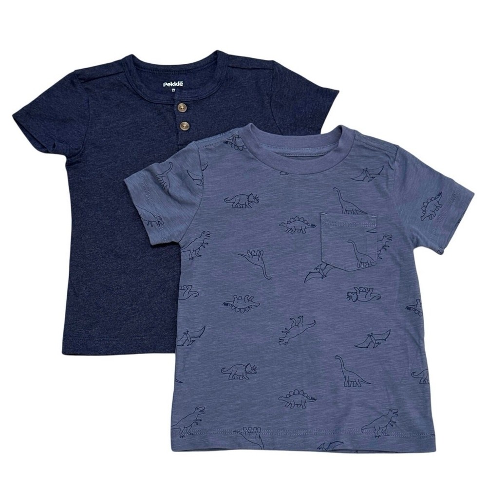 NWOT Set of Two 2T Toddler Tee Shirts Dinosaurs