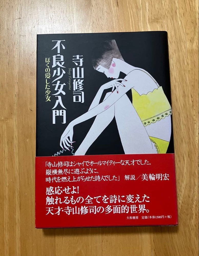 Introduction to Bad Girls Shuji Terayama 2004 1st Edition Minor Wear