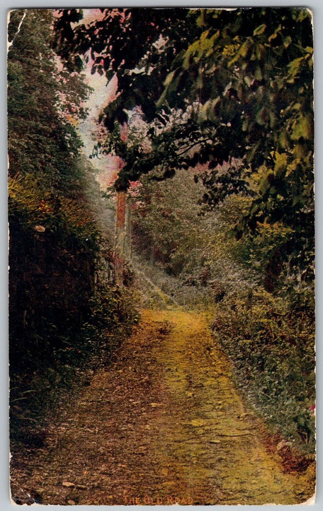 Antique Postcard The Old Road 1900s