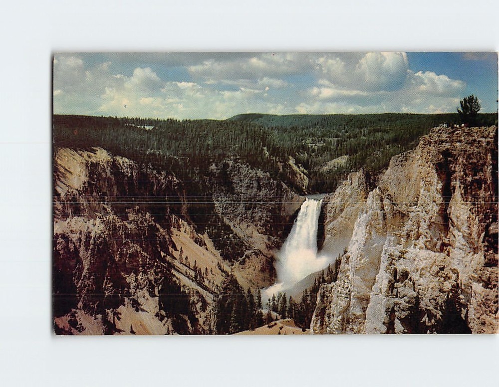 Postcard The Grand Canyon of the Yellowstone Showing Lower Falls USA