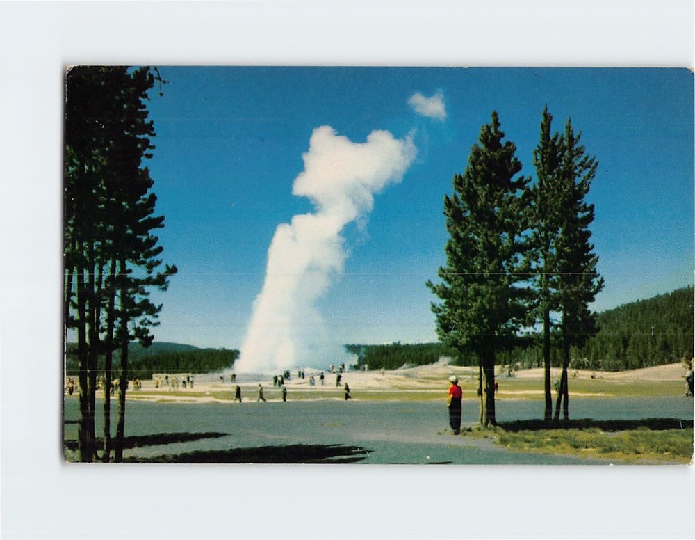 Postcard Old Faithful Geyser Yellowstone National Park Wyoming USA