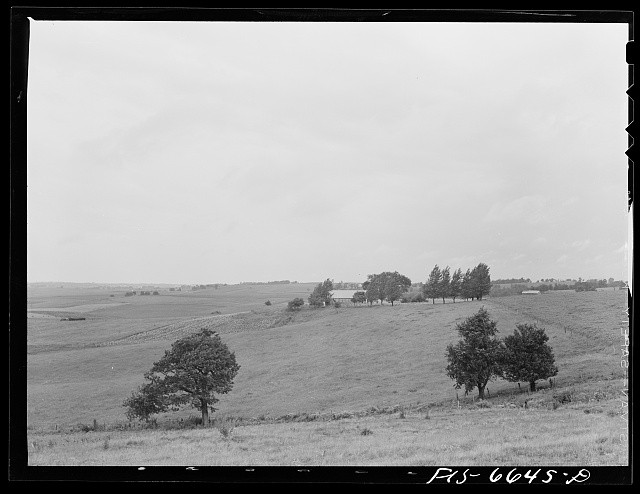 1930s Farmhouse Rolling Hills Rural Landscape Trees Black and White Photo