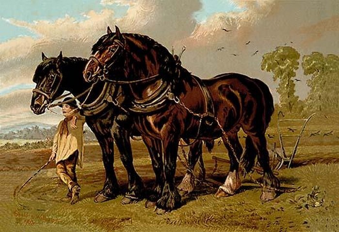 Samuel Sidney Clydesdale Stallion and Mare Vintage Poster Print for Home or Office Décor