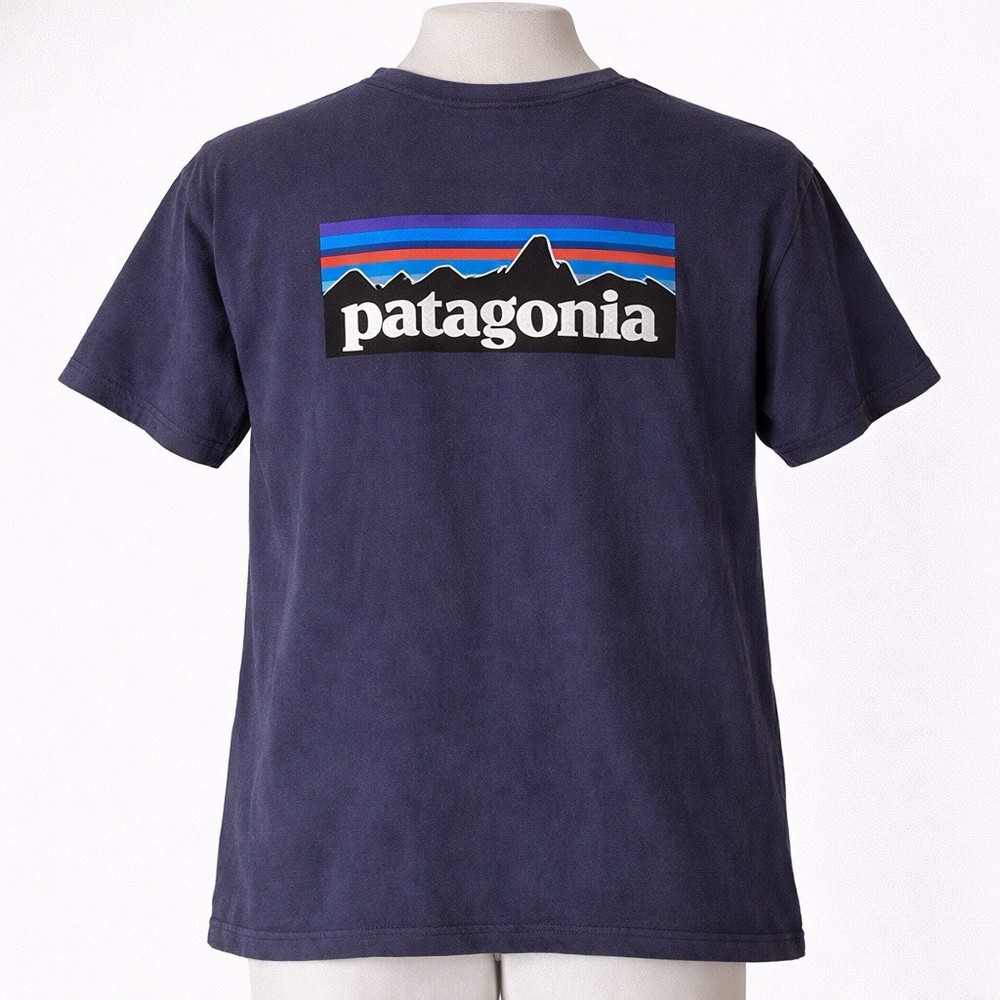 Patagonia Responsibili Tee Shirt T-Shirt Men’s Small Navy Blue Box Logo Graphic