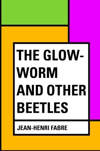 The Glow-Worm and Other Beetles