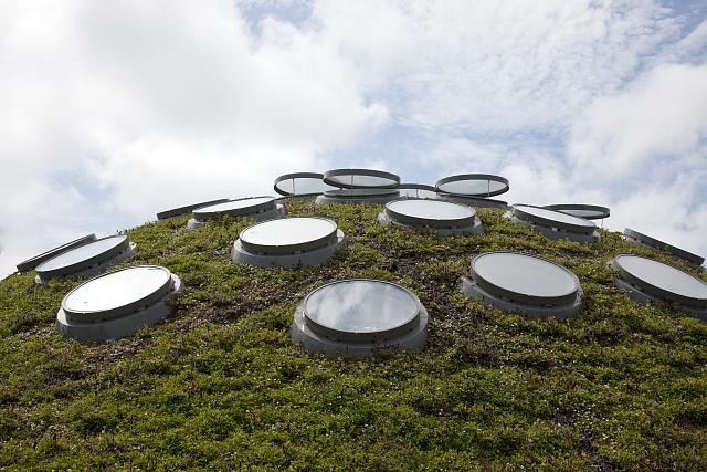 Living Roof,California Academy of Sciences Museum,San Francisco,California,CA-image