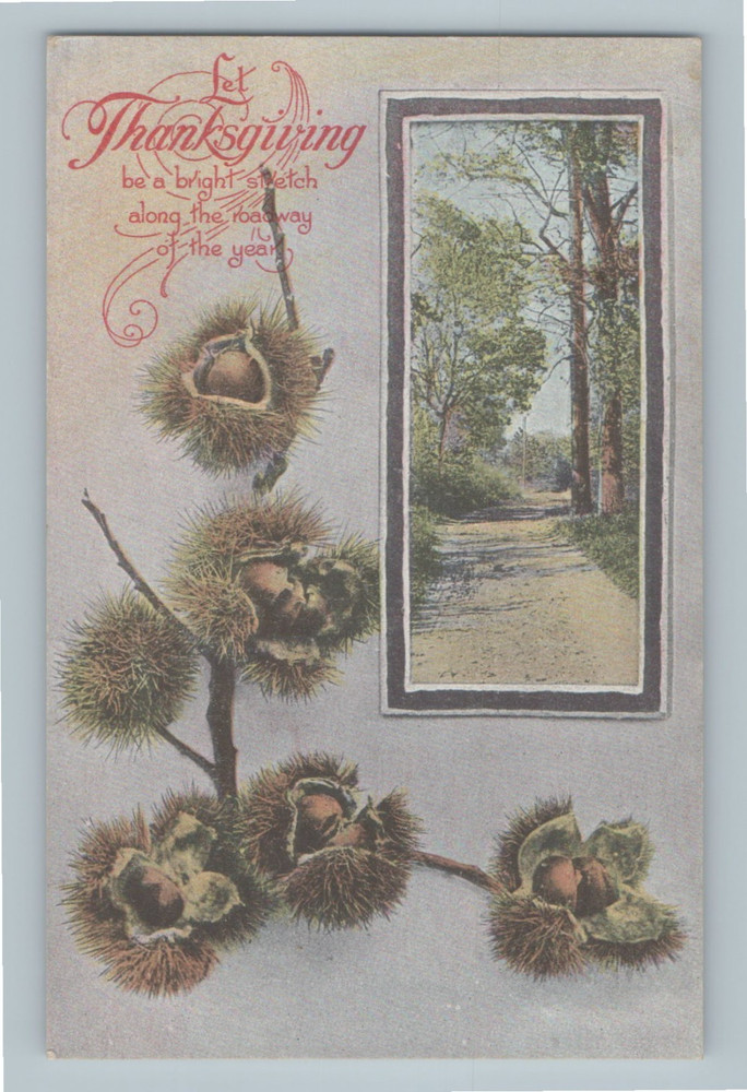 Thanksgiving Sweet Chestnuts Keyhole Road Lined w/ Trees Vintage Postcard H1
