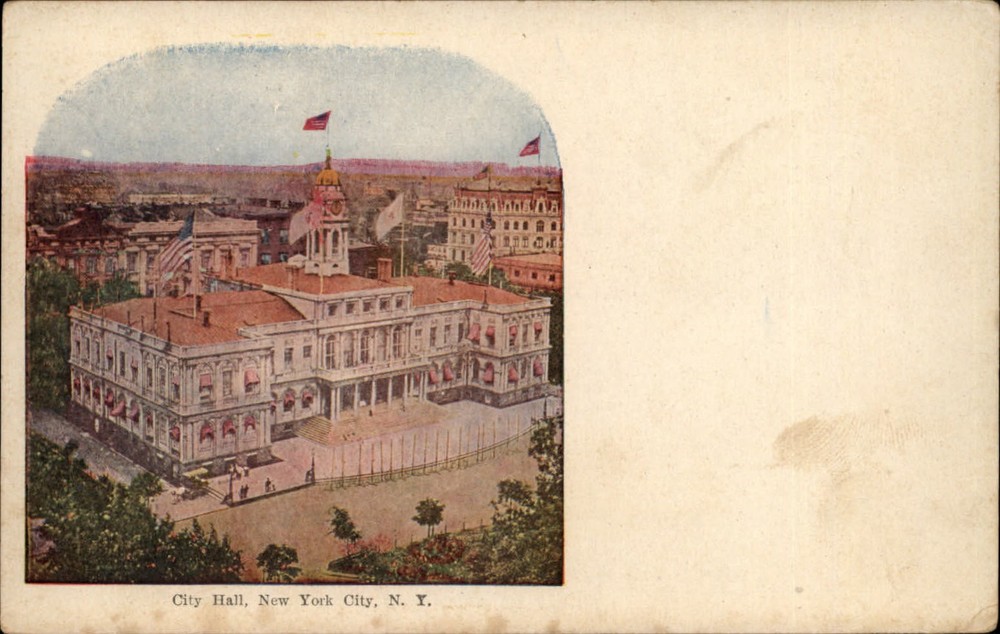 New York City NY City Hall flag ~ c1910 vintage postcard