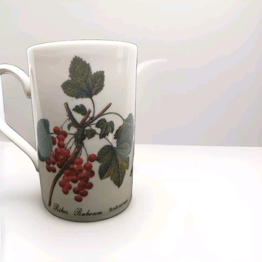 Dunoon Orchard Collection Apricot/Red current Tea/Coffee Mug