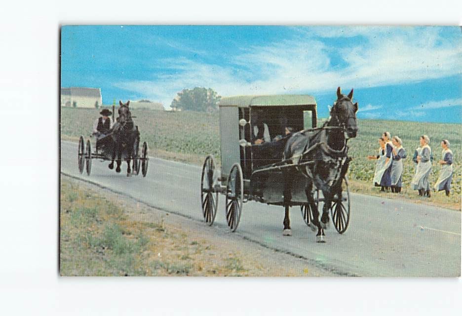 Postcard An Amish Family Carriage and Courting Buggy Pennsylvania USA