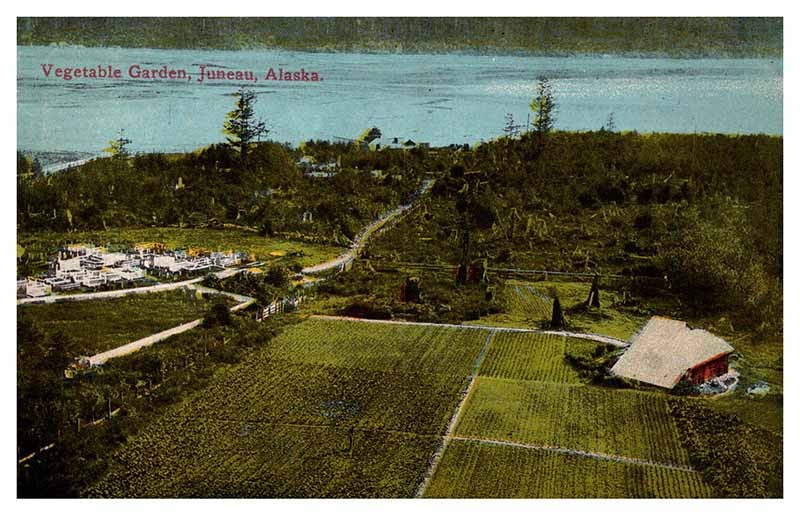 Postcard AERIAL VIEW SCENE Juneau Alaska AK m/09 AP6665