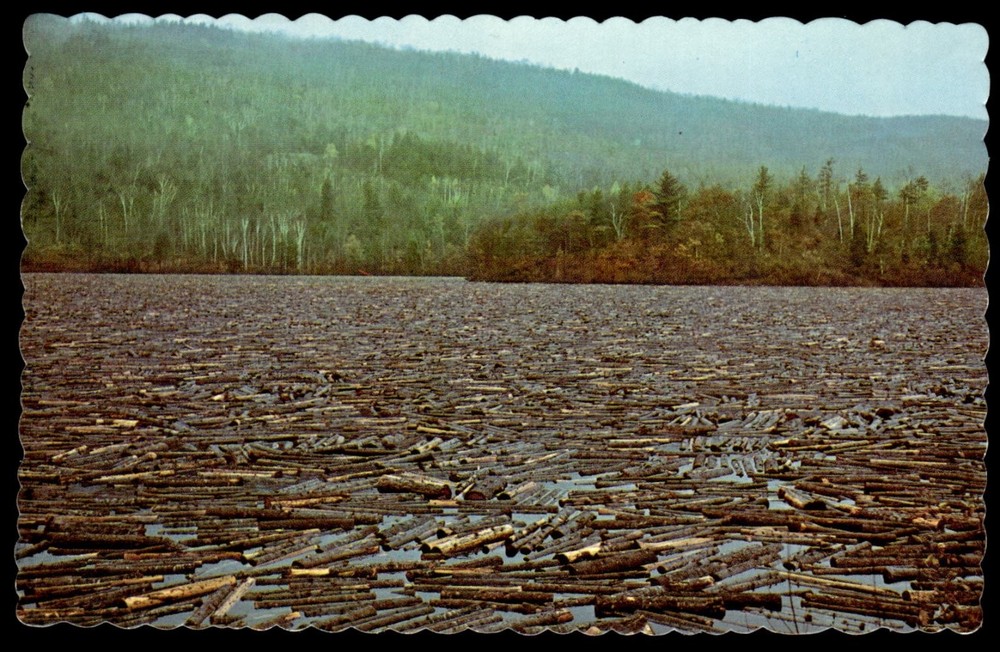 Vintage Maine Log Drive Postcard - Pulpwood River - Fred Bush Photo