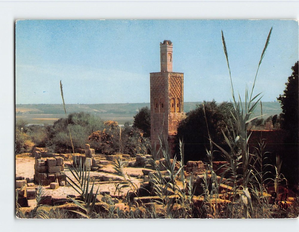 Postcard The Chellah in Rabat Morocco