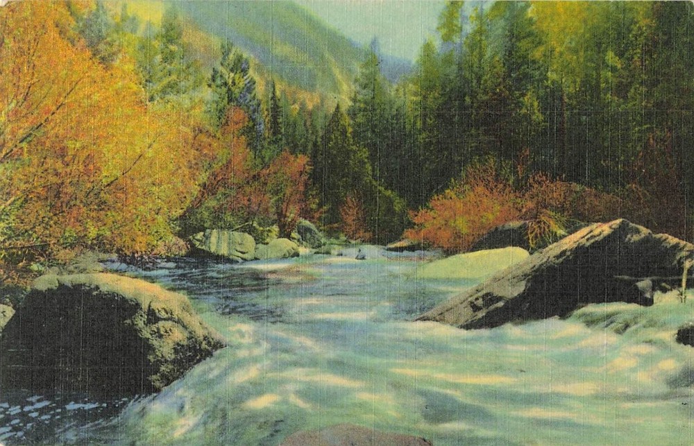 Devil's Gulch North Fork Thompson River Rocky Mtn Park CO 1943 Postcard