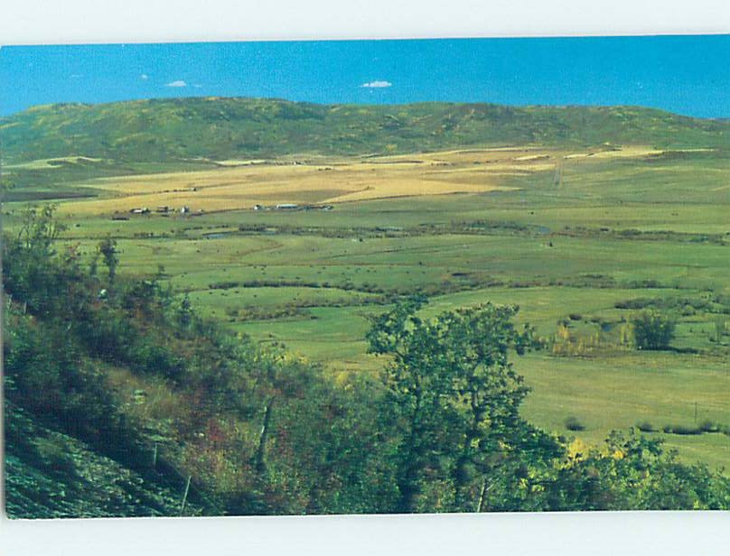 Pre-1980 NATURE SCENE Steamboat Springs Colorado CO m/09 AD2742