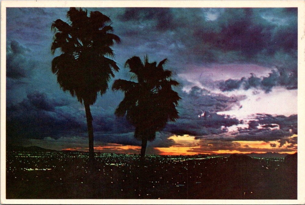 Phoenix Arizona Sunset View with Palm Trees Continental Postcard C109