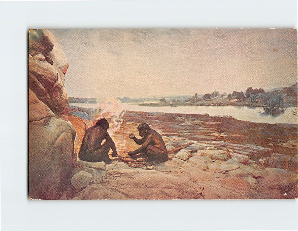 Postcard Restoration of a Chellean Scene Chicago Natural History Museum Illinois