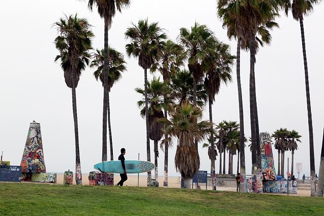 Photo:Venice Los Angeles California 2012 Beachfront Palm Trees Surfer