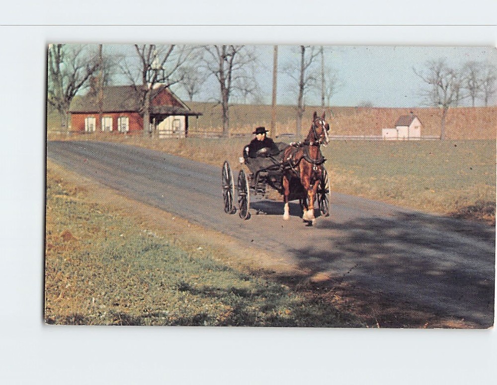 Postcard The Amish Courting Buggy Pennsylvania Dutch Country