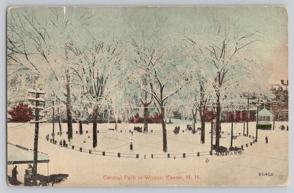 Keene New Hampshire NH Central Park in Winter c1910 Antique Postcard