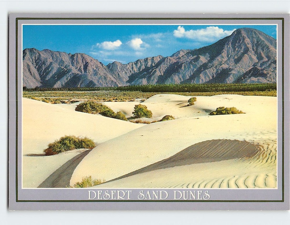 Postcard Desert Sand Dunes California USA