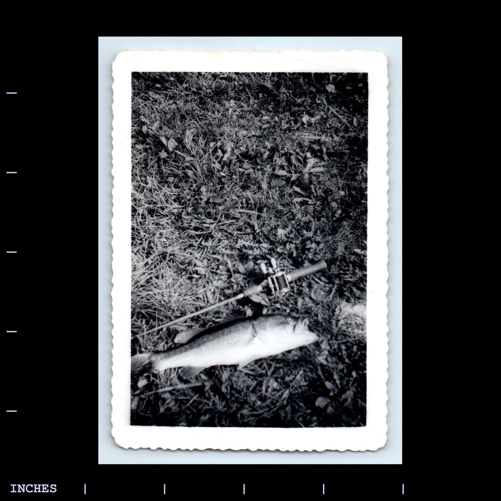 Vintage Photo ABSTRACT FISH AND FISHING POLE