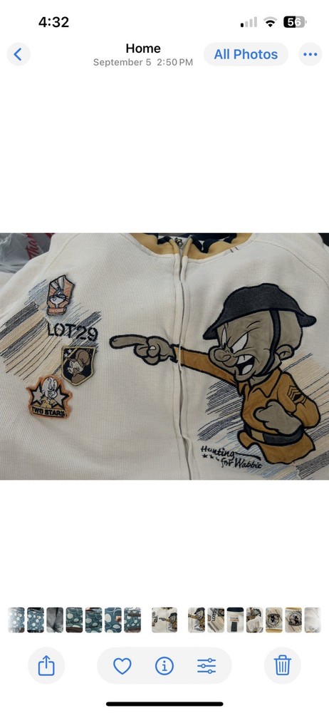 lot 29 looney tunes Sweater