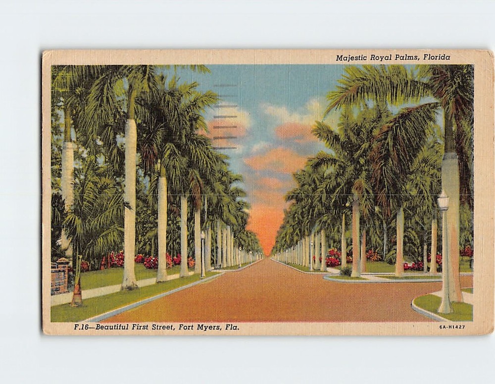 Postcard Majestic Royal Palms First Street Fort Myers Florida USA