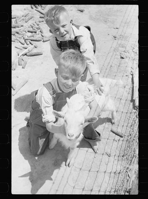 Crawford County,Illinois,IL,Farm Security Administration,FSA,May 1940,Vachon,3