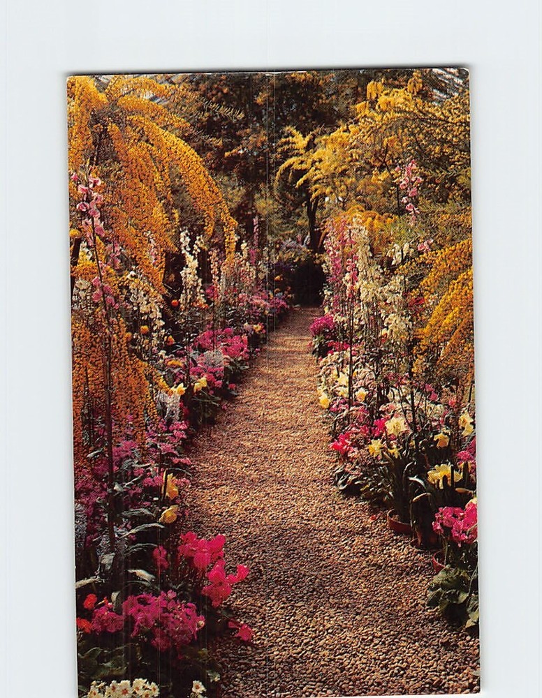 Postcard Longwood Gardens Kennett Square Pennsylvania USA