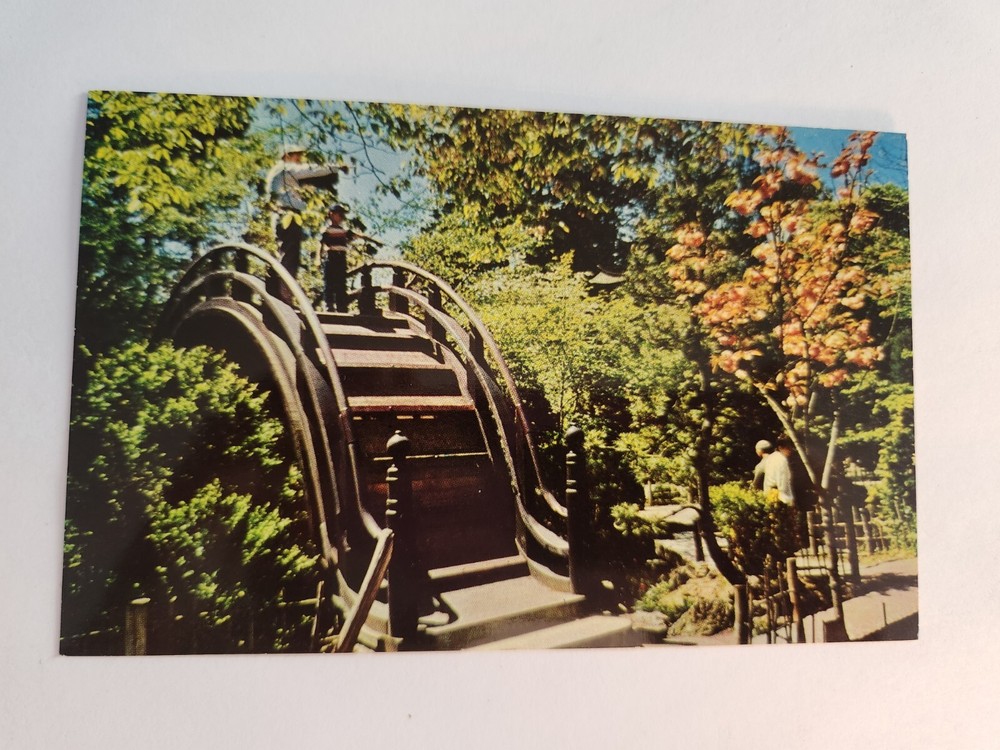 Bridge at Oriental Tea Gerden San Francisco CA NOS Vtg Postcard Unposted NEW
