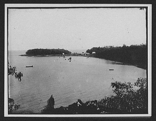 Coastal Inlet,Bay,New Zealand,Summer 1895,William Henry Jackson,Photographer