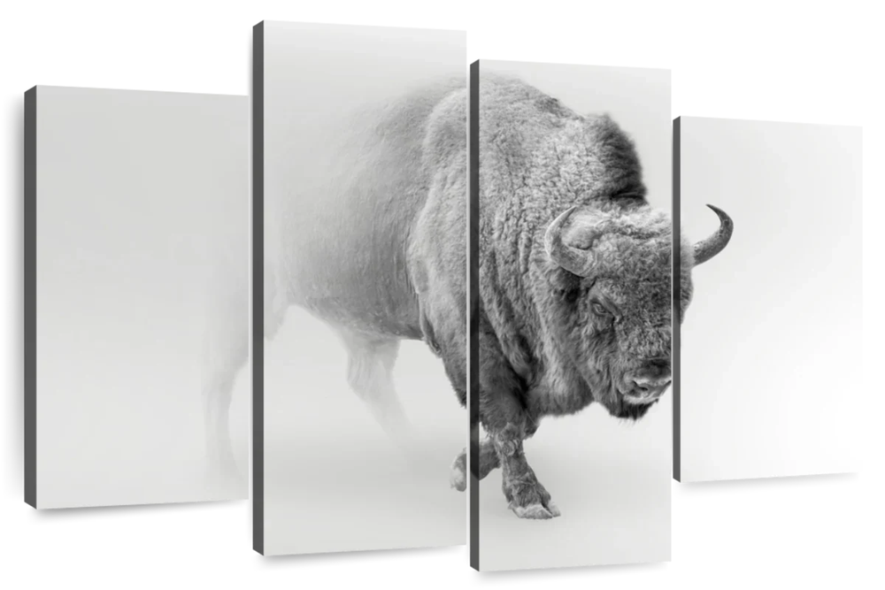 Wild Bison Wall Art