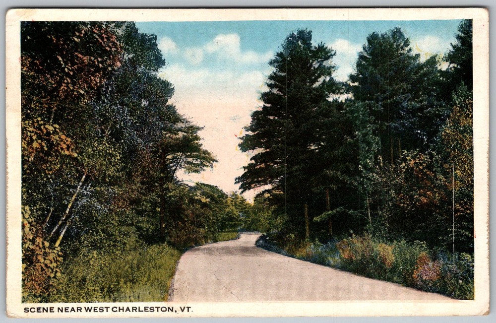 Antique Postcard Woodland Road Scene West Charleston, VT 1910s