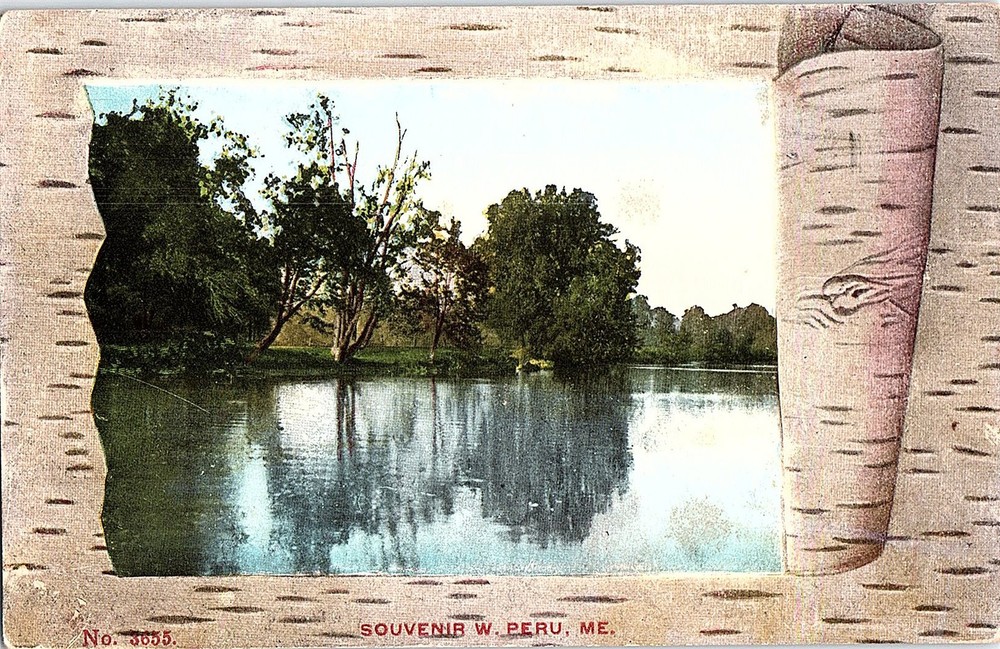 Postcard NATURE SCENE Peru Maine ME m/09 AI2933