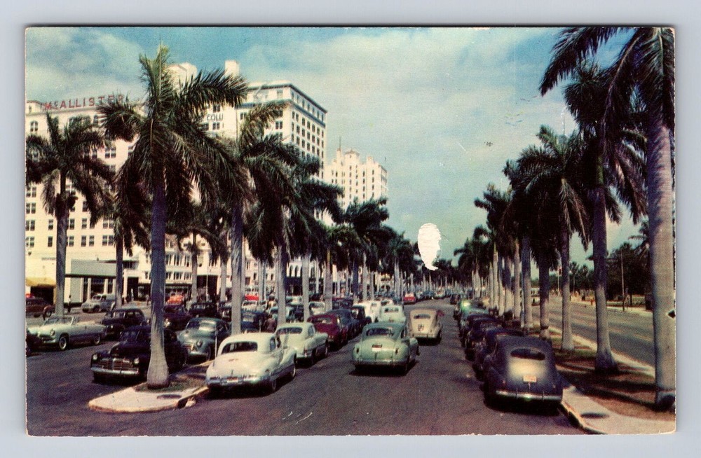 Miami FL- Florida, Biscayne Boulevard, Antique, Vintage Souvenir Postcard