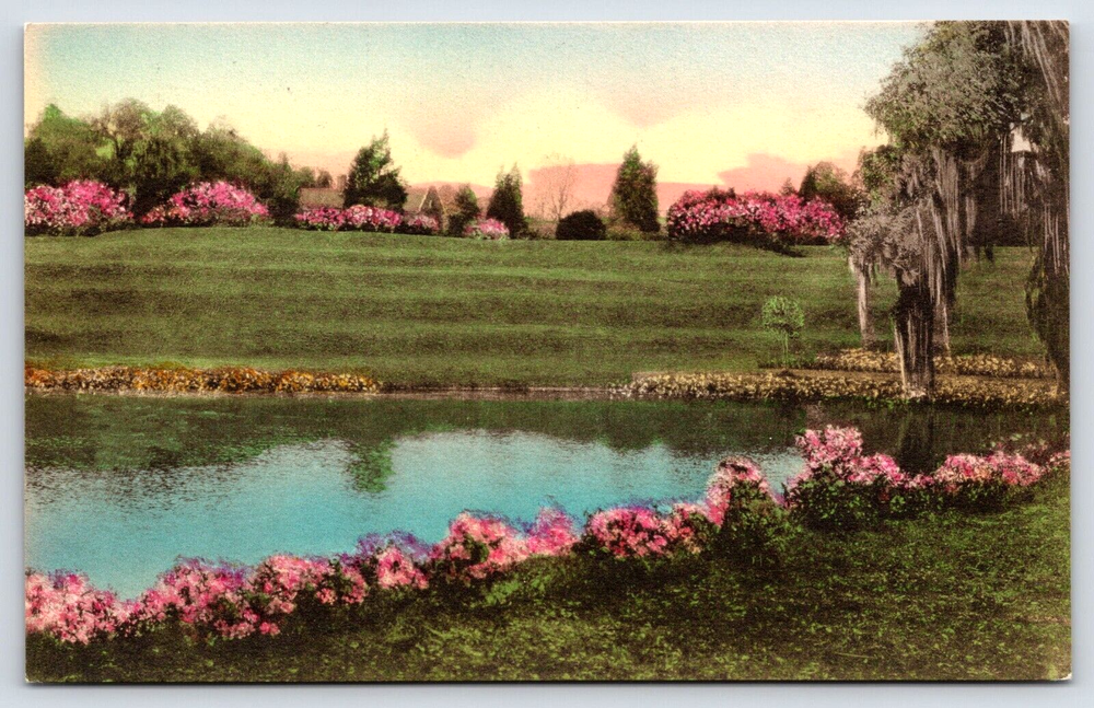 VINTAGE OLD ANTIQUE POSTCARD MIDDLETON PLACE GARDENS CHARLESTON SOUTH CAROLINA