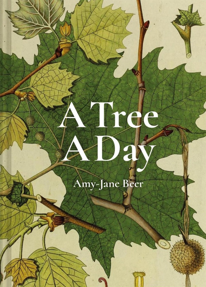 A Tree A Day by Amy-Jane Beer Hardcover Book