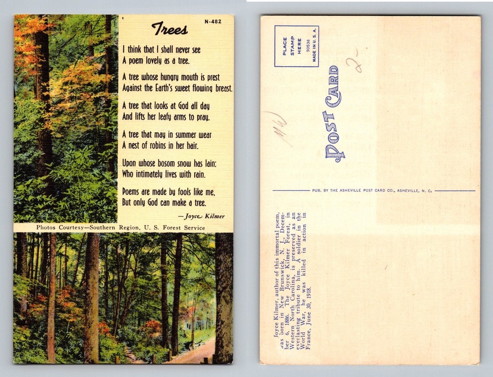 Asheville, NC-North Carolina, Trees Forest Joyce Kilmer Poem Vintage Postcard