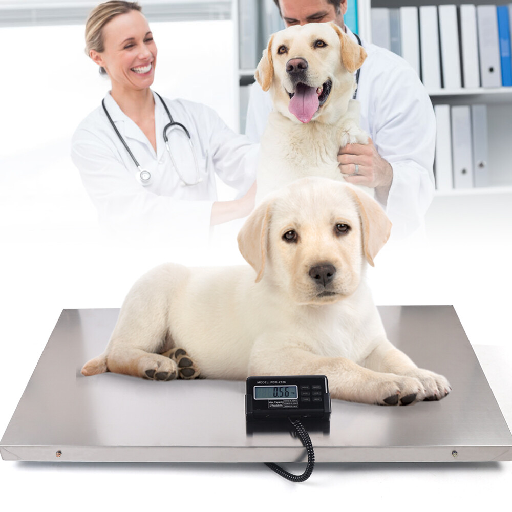 1100 lbs Large Digital Electronic Scale Veterinary Pet Animal Weight Livestock